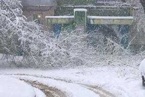 В Луганске бушует ураган, а в Лисичанске снега насыпало до половины первого этажа: в сети сообщают о непогоде в регионе
