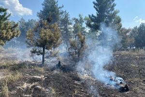 Розбиті будинки, згорілі ліси та заправка "Рибка": у мережі показали, як сьогодні виглядає район Кремінної
