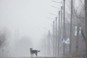 "Полное разочарование, уехала в депрессии": В сети поделились впечатлениями о поездке в оккупированный Северодонецк
