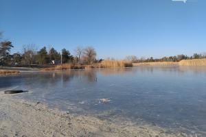 Паркове озеро в Сєвєродонецьку майже зникло: у мережі показали, як зараз виглядає водойма