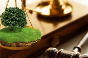 Конфіскують на користь держави: громадянина РФ позбавили права власності на землю у Луганській області