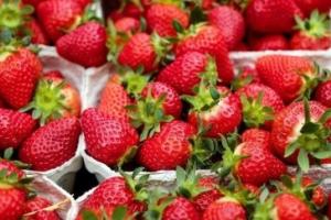 Полуниця - 160, черешня - 500 рублів: у мережі показали ціни на продукти у Сєвєродонецьку