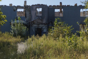 "Город зарос сорняками": В сети показали, как сейчас выглядит оккупированный Северодонецк - фото