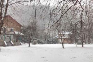 Переселенці з Луганщини можуть оздоровити дітей на Прикарпатті: куди звертатися