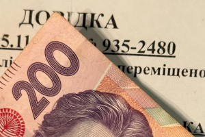 Выплаты ВПЛ: Правительство усовершенствовало порядок выплат помощи переселенцам