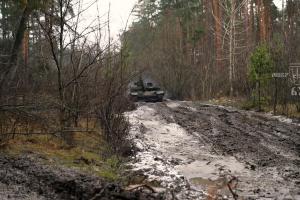 "Непрохідне місиво": Українські військові показали, як виглядають зараз Кремінські ліси