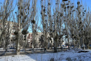 Жизнь в оккупации: в сети показали цены на продукты в Лисичанске, и как "борются" с гололедом в Кременной