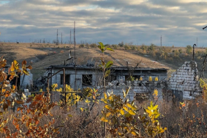Повністю "розібрані" будинки: в мережі з'явилося свіже відео з Білогорівки на Луганщині