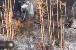 Украинские воины показали, как уничтожают вражескую технику в Кременских лесах на Луганщине