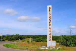 "Пошкоджено приватні домоволодіння": На Луганщині окупанти повідомляють про "прильоти" у Білокуракине