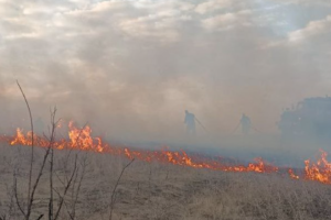 "Найзначніші поблизу Лисичанська": Окупанти скаржаться на кількість пожеж на Луганщині