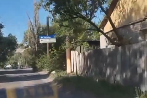 Все заросло так, що й огорож не видно: у мережі показали свіжі кадри з окупованого Лисичанська