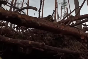 Бои под Кременной: Бойцы показали видео захвата и зачистки позиций врага на Луганщине