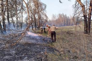 Пожежі, обстріли та згорілий автобус: обстановка в окупованій Кремінній на Луганщині від очевидців