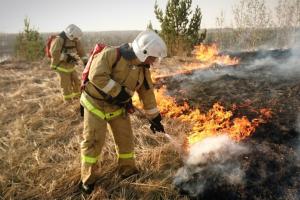 В Северодонецке произошел пожар: от уличного мусора загорелся жилой дом