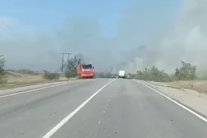 Ліси на окупованій Луганщині охоплені вогнем: очевидці діляться відео