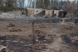 Пожежа в окупованому Щедрищевому під Сєвєродонецьком: у мережі з'явилися кадри згорілих будинків, "влада" мовчить