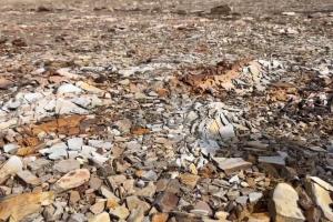 "Золотая лихорадка в ЛНР": Лысогор о планах оккупантов по добыче золота на Луганщине