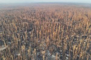 "Летить скрізь": Обстановка у Кремінній на Луганщині від очевидців