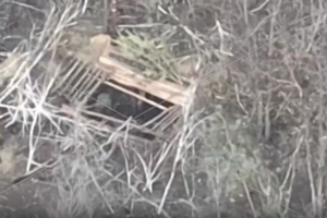 ВСУ разбили склады противника в Серебрянском лесу на Луганщине: видео