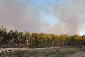 Под Северодонецком полыхает лес: в сети появились кадры пожара