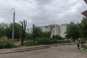 Війна з природою: окупанти вирубують ліси під Сіверськодонецьком для своїх укріплень