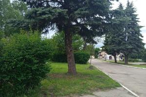 Небо над Кременной больше не тихое: что происходит в оккупированном городе