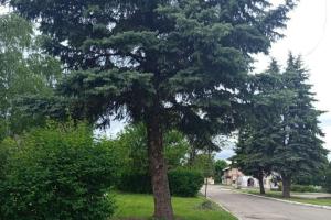 Окупант убив 92-річну пенсіонерку у Кремінній: затримано російського військового