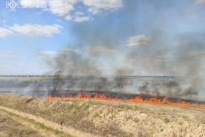 Луганщина горить: вогонь знищив сотні гектарів та будинки, зв&#039;язок обривається