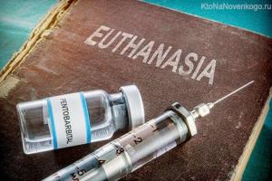 Конституционный суд Италии признал эвтаназию допустимой