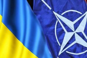"Им нужна наша поддержка": в НАТО призывают активнее помогать Украине