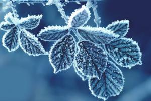 Морозы за -20°C: на Украину идет самая холодная за последние 30 лет зима