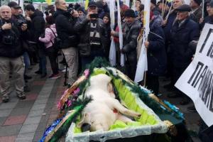 Протестующие против рынка земли принесли под Верховную Раду гроб с мертвой свиньей