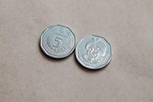 В декабре НБУ вводит в оборот монету номиналом 5 гривен