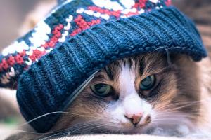 Надвигаем глубже шапки на лоб: на Украину идет сильное похолодание