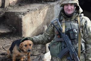 Сводка ООС: режим прекращения огня был нарушен 6 раз, один боец ВСУ погиб, десять - ранены