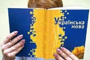 Учителя русскоязычных школ будут проходить курсы украинского языка - Новосад