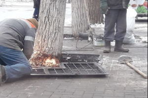 "Нужно за такое бить": в Северодонецке проводят "убийственное" облагораживание города