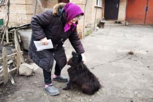 В Кабмине разобрались с платежами женщины, которой советовали продать собаку
