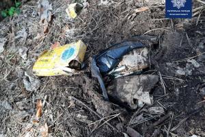 В Северодонецке мужчина обнаружил в лесу схрон боеприпасов