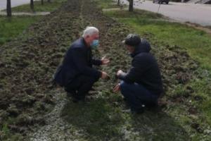 Будут благоухать розы: в Северодонецке облагораживают Гвардейский проспект