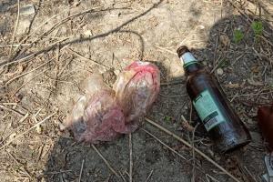 Бросили "коктейль Молотова" во двор: под Киевом санитарке угрожали расправой из-за COVID-19