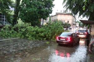 Во Львове бушевала стихия: сильный ветер, гроза и град нанесли ущерб (фото)