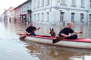 Вода поднялась на метр: сильные ливни в Чехии спровоцировали наводнения (видео)