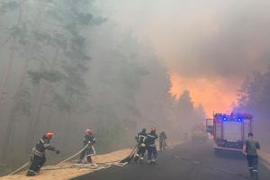 Число загиблих від лісової пожежі в Луганській області зростає