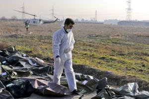 Авиакатастрофа МАУ под Тегераном: в Киев пребудет делегация из Ирана