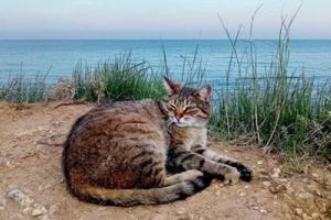 В Украину идут дожди и похолодание: в каких регионах останется жарко и сухо