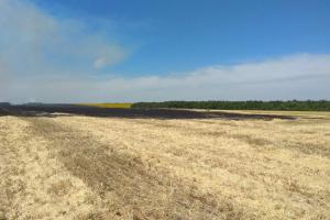 На Луганщині зайнялась пожежа на на полі з пшеницею: подробиці