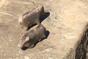 Мастерство впечатляет: археологи нашли необычные древние статуэтки (фото)