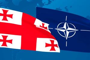 Грузия заявила о готовности ко вступлению в НАТО
